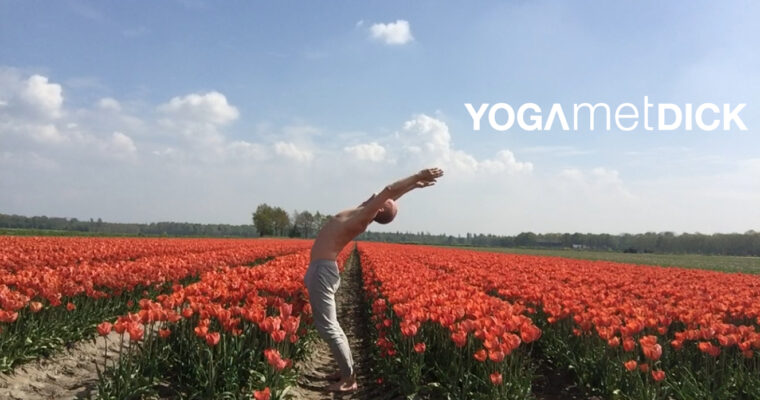 Mei- yoga online en in de studio, Ahimsa